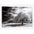 Toile tendue