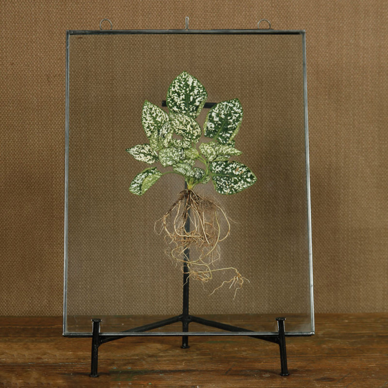 Chevalet de présentation Temple Cloud, 11"H x 8"W x 8'D