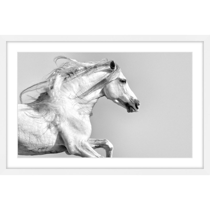Melanie Snowhite - Single Picture Frame Print, 41cm H x 61cm W x 3.81cm D