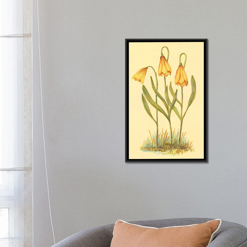 « fritillary », reproduction sur toile, H 26 po x l 18 po x P 1,5 po, Toile encadrée noire, Pas de tapis