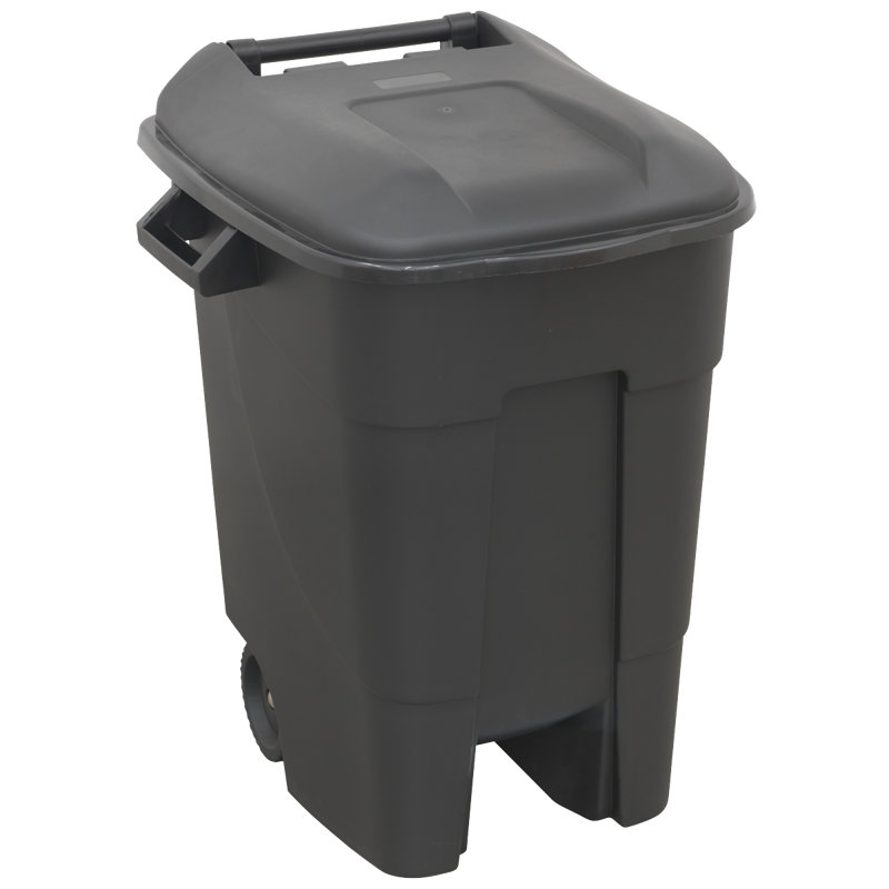 Kaczmarek Plastic Manual Lift Outdoor Trash & Recycling Bin - 100L, Black