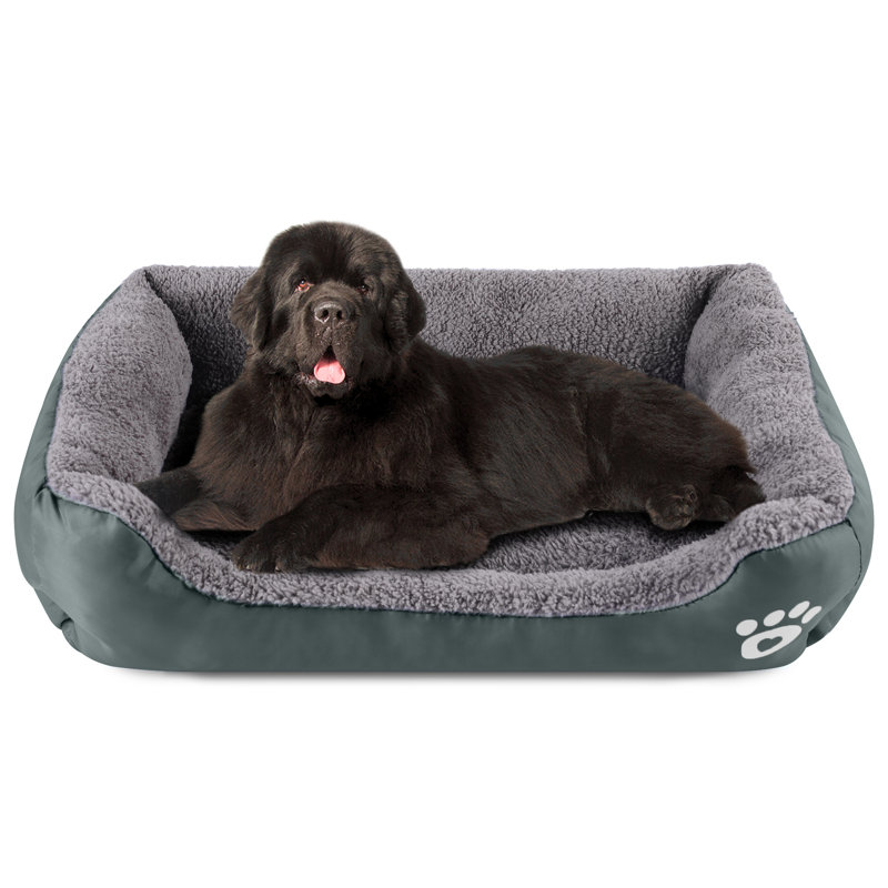 Lit pour chien Goncalves, Vert foncé, Grand (l 37,4 po x P 29,5 po x H 5 po)