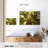 Harnek Waipoua Kauri Trees-106848633