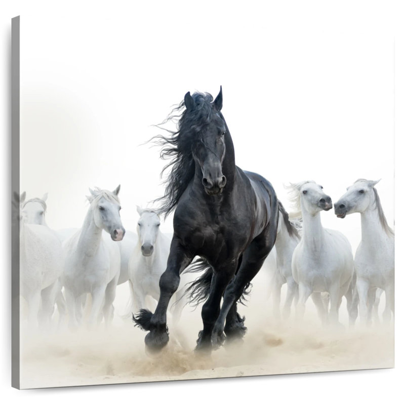 Crowle Black Among White Horses