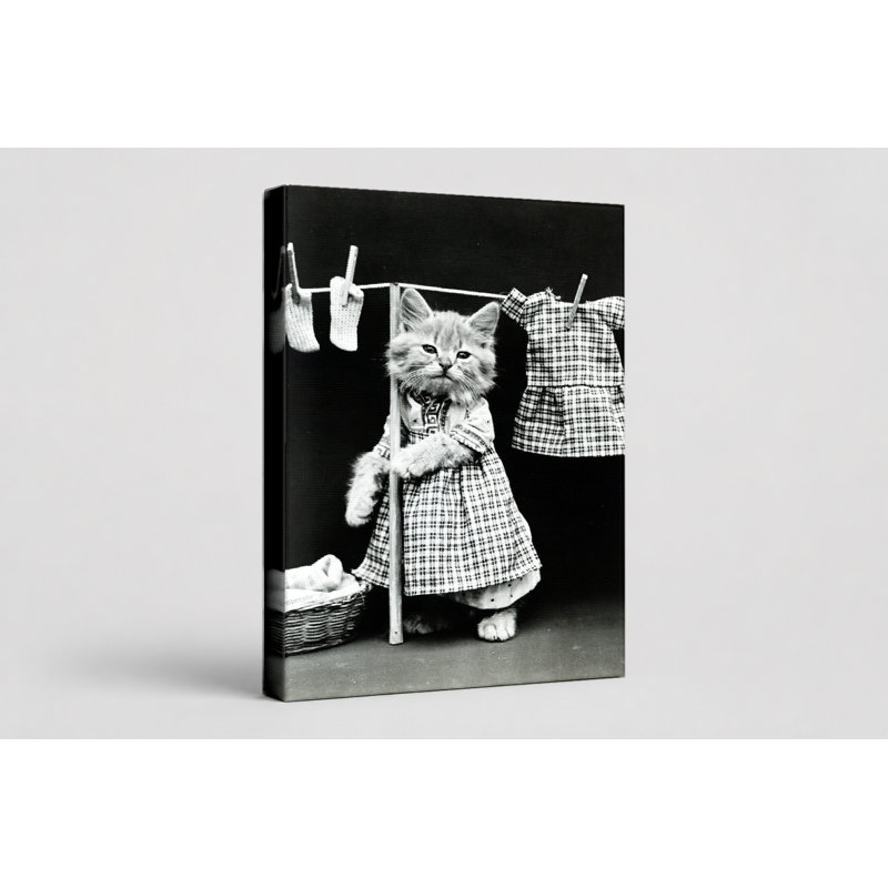 Chat sur toile - Portrait, art mural sur toile, 12" W x 18" H