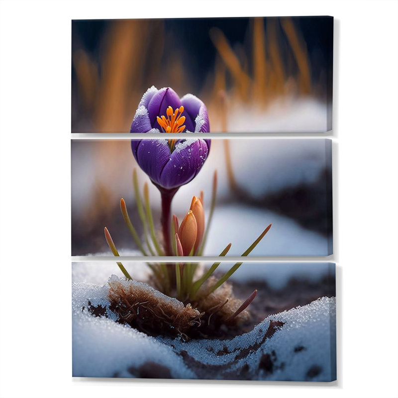 «First Crocus Of Spring II», ensemble d'art mural sur toile floral, H 36 po x l 28 po x P 1 po