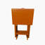Ensemble de 4 plateaux pliants Karnesh-96678734