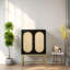 Metal Rectangle Accent Cabinet