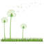 Plants & Flowers Non-Wall Damaging Wall Decal