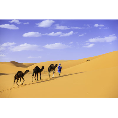 Young Tuareg With Camel by Hadynyah - No Frame Art Prints on Canvas