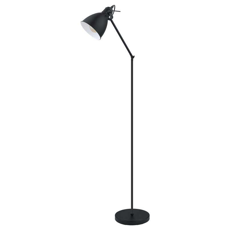 Biwabik 54'' Task Floor Lamp
