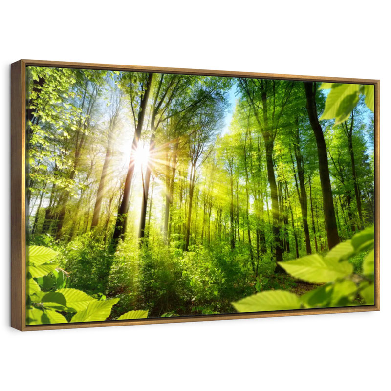 Forêt ensoleillée, 46 po x 31 po, Cadre flottant doré