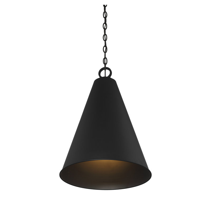 Luminaire Meromian 1 lumière Millom en noir mat, Noir