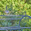 Panier de fleurs "Paris,", art de jardin-57606022