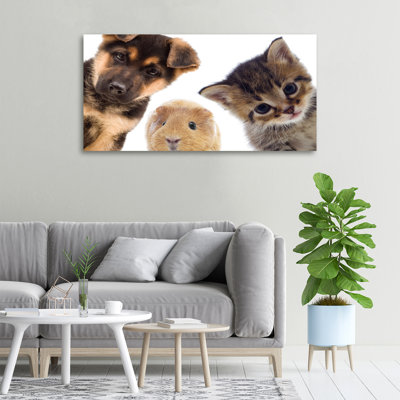 Pets - Wrapped Canvas Print