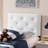 Erietta Upholstered Panel Headboard-2115875984