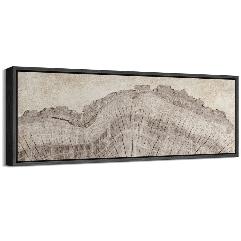 Tree Rings in Neutral Tones Modern Art Extra Large Artwork Print Wall Art, 20" H x 60" W, Black