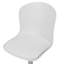 Letha Office Chair-132324952