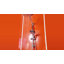 Pomme de douche 5 fonctions 10 po-64744708