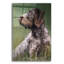 Art mural en verre Hokku Designs «Dogs German Wirehaired Pointer» par Lindsay Kivi-1760261417