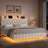 Upholstered Floating Bed With LED Lights, Charging Port-1558749533