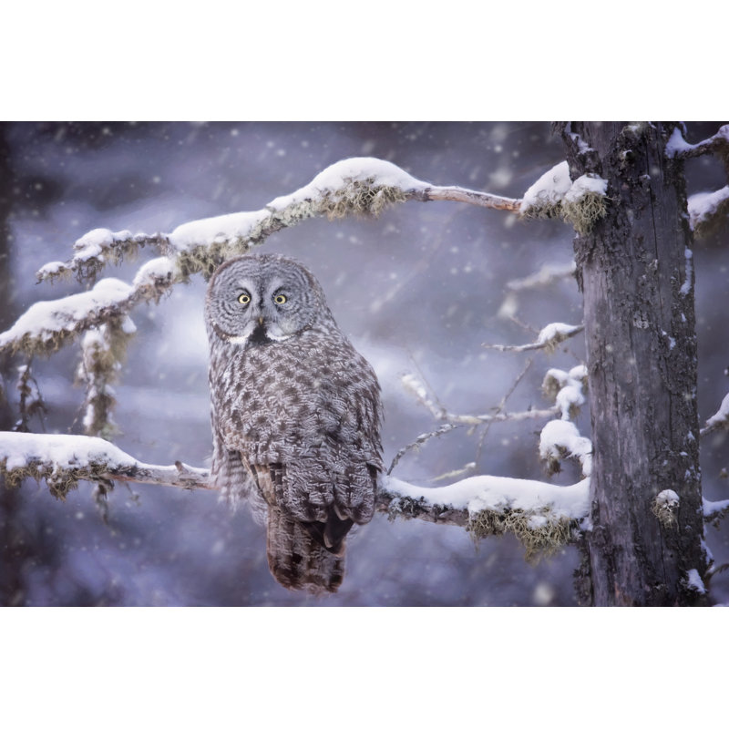 Hibou dans la neige III, H 32 po x l 48 po x P 1 po