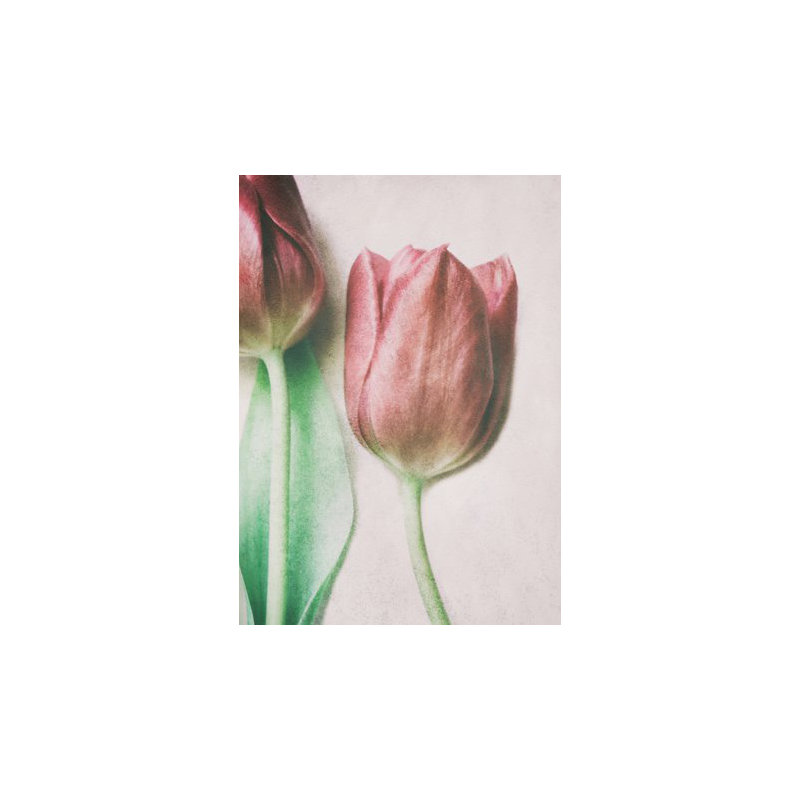 Wrapped Canvas Print, 50.8 cm H x 76.2 cm W