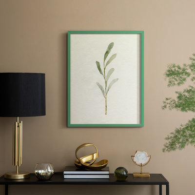 Olive Leaves II Framed Print - Solid Wood