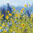"Joyful In July III" by Shirley Novak Mixed Media Floral Painting Print -641795122-543924031-581905230