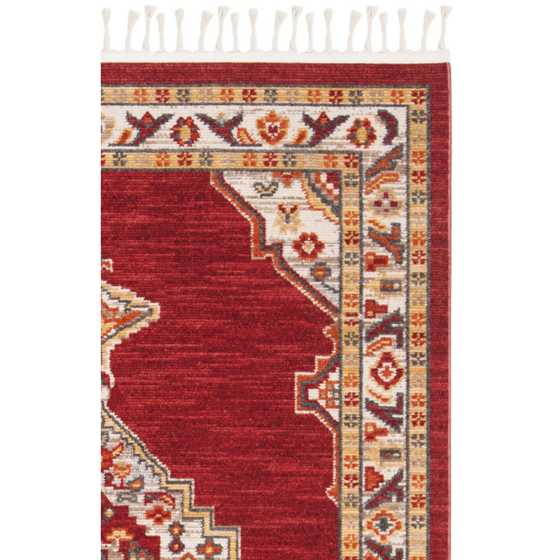 Tapis performance oriental Darrow, Rectangulaire 3 pi x 5 pi