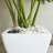 2-Pack Smart Self-Watering Planter Pot For Indoor And Outdoor - White - Square Cone