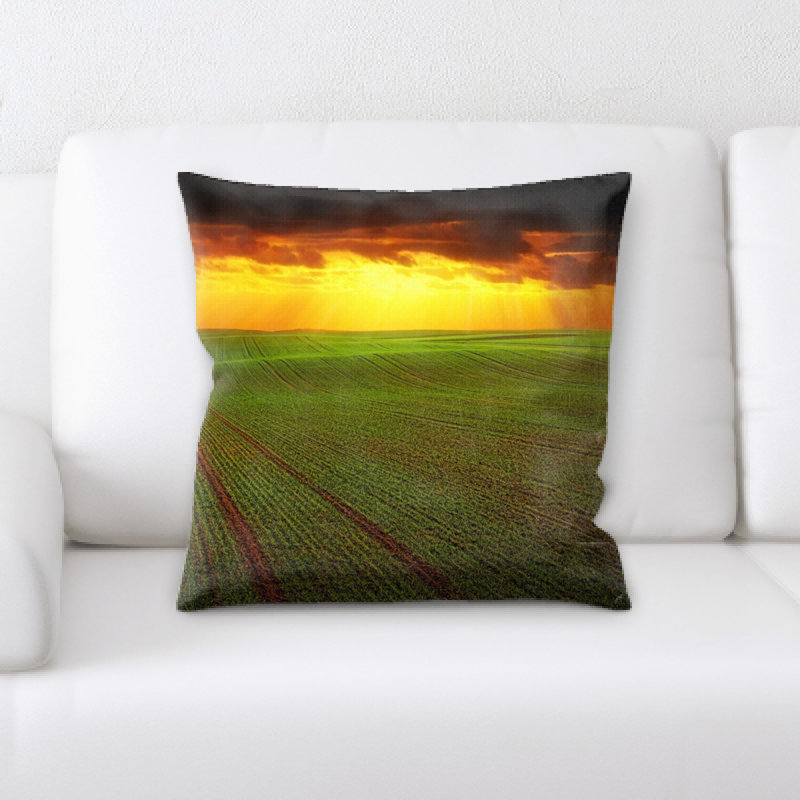 Coussin décoratif field