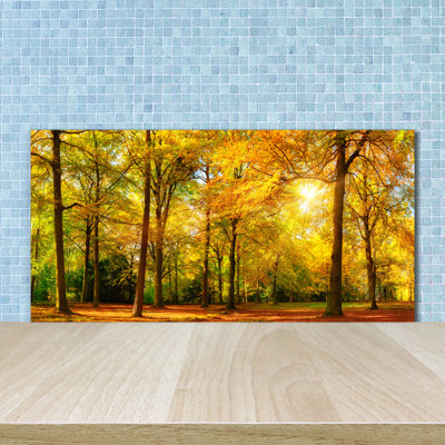 50cm W x 100cm L Glass Peel and Stick Panel
