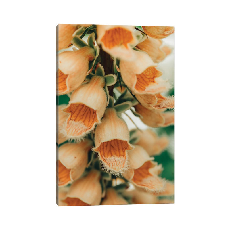 Summer Botanical III by Olivia Joy StClaire - Wrapped Canvas Print, 20.32 cm H x 30.48 cm W
