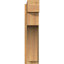 Sapin Douglas-113998552-109329442