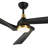 Caprise 52'' Ceiling Fan with LED Lights-951452667-971734226