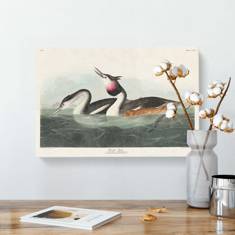 Crested Grebe - Wrapped Canvas Painting, 40cm H x 60cm W x 3cm D