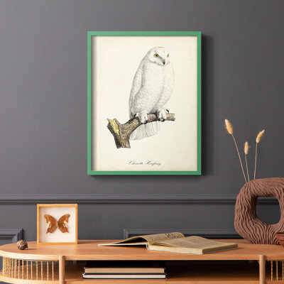 French Owls IV, reproduction encadrée - bois massif