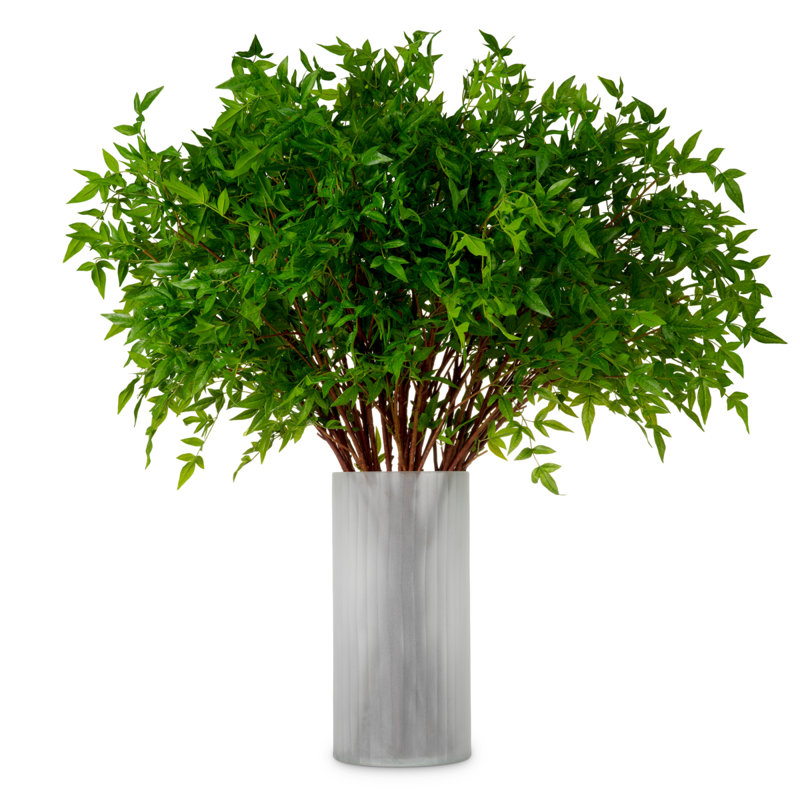 Faux Tender Plant