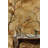 Floral Wallpaper Birds Beige Removable Wall Decor