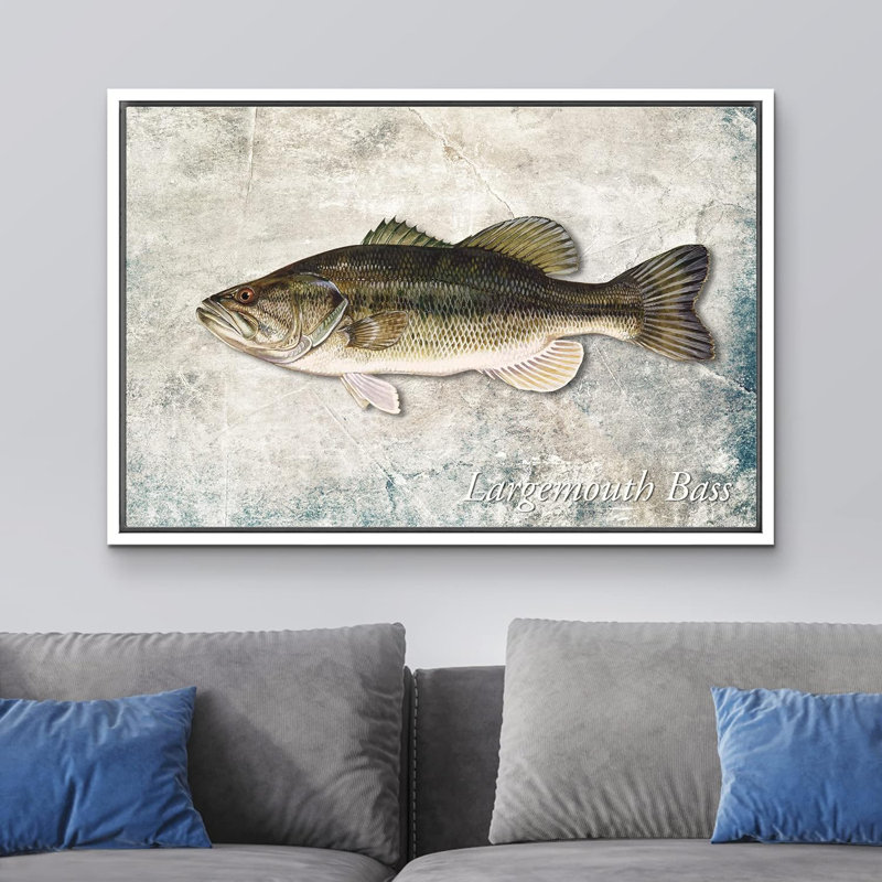 Fish " Largemouth Bass Fish On Granite Background Marine Life ", 24'' H x 36'' W, White Framed
