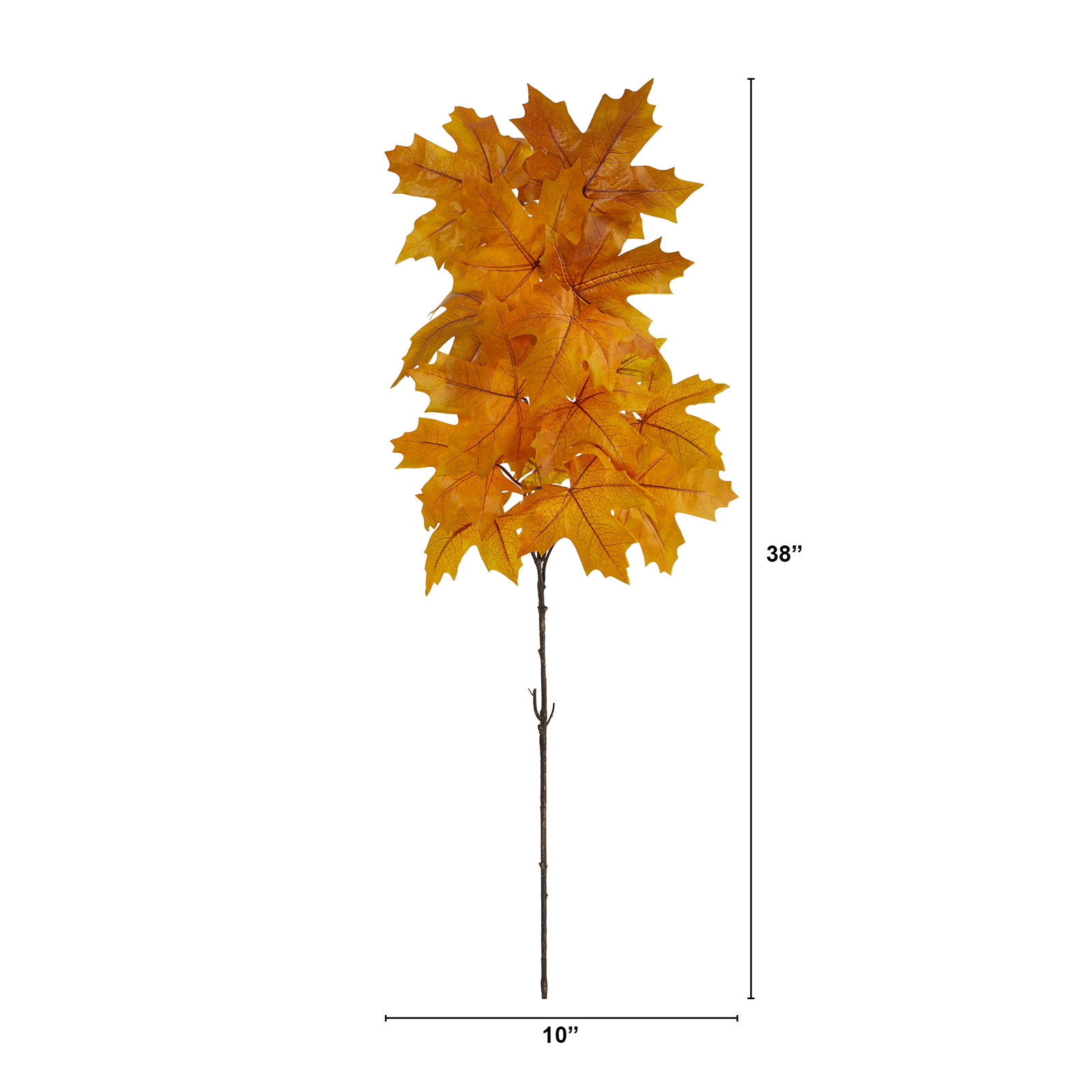 Maple Leaf Arrangement