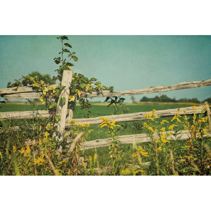 Blissful Country V by Elizabeth Urquhart - Photograph Print, Black Floater Framed, 61cm H x 91cm W