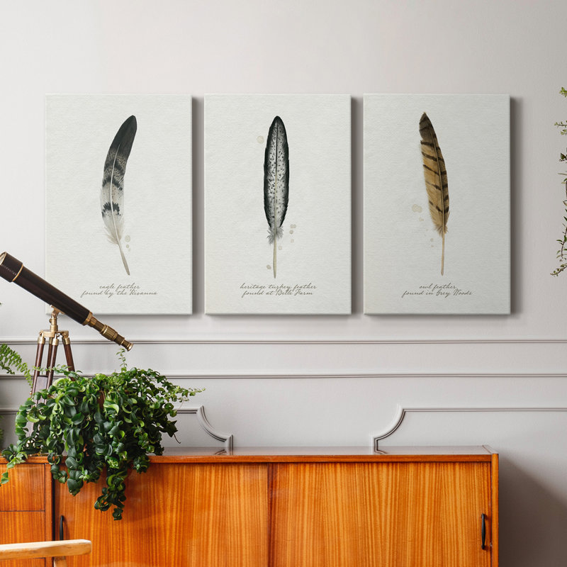Found Feather I - ensemble de 3 peintures sur toile tendue, H 18 po x l 36 po x P 1 po
