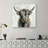 " Highland Cow "