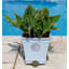 Garnes Stone Weather Resistant Planter Feet
