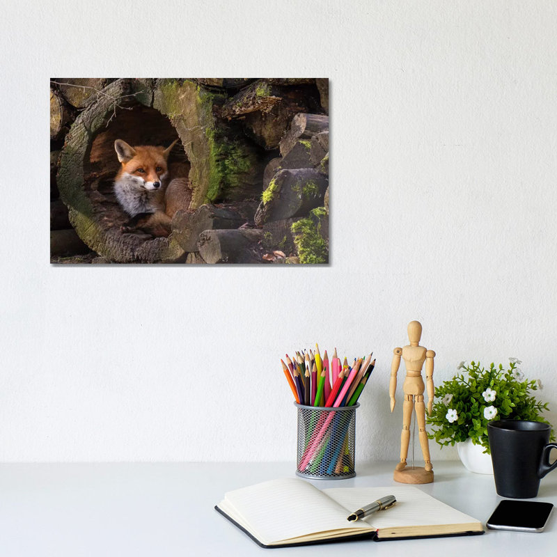 Fox- Gallery-Wrapped Canvas Giclée