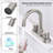 Topcraft Stainless Steel Two Handle Bathroom Faucet-111923567