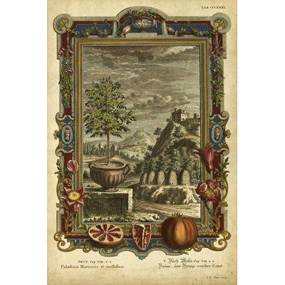 Genesis Fruits IV - Wrapped Canvas Painting