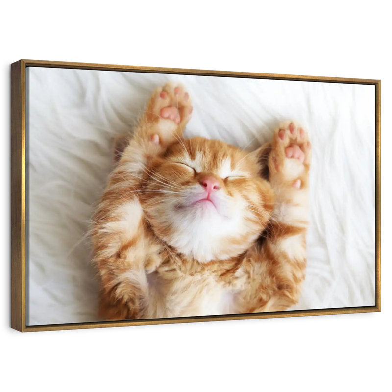 Sleepy Kitty, Cadre flottant doré, 13 po x 9 po